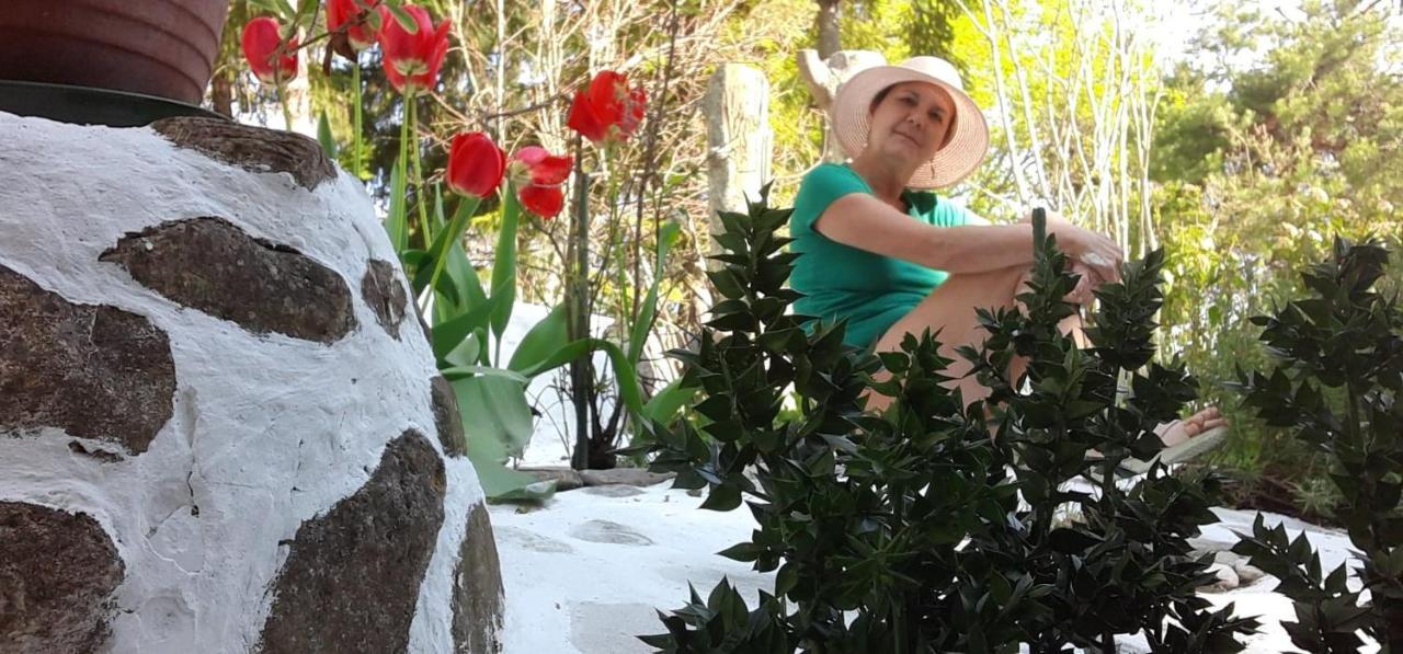 Molino Del Gobbo Bed and breakfast SantʼAgata Feltria
