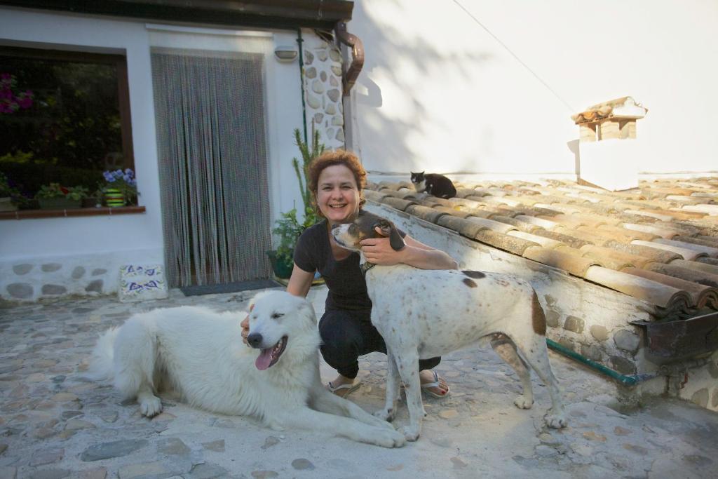 Bed and breakfast Molino Del Gobbo *